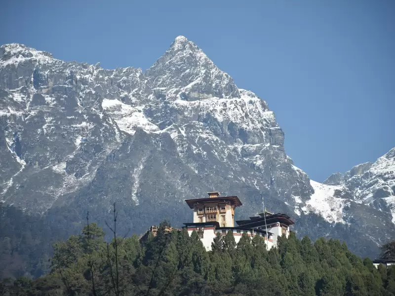 Gasa Dzong above the forest, under a snow-covered peak