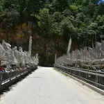 A road lined with white prayer flags on the way from Pele La to Trongsa