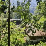 Forest and a traditional roofed building beside the river at Nganglam, in the south of Pemagatshel