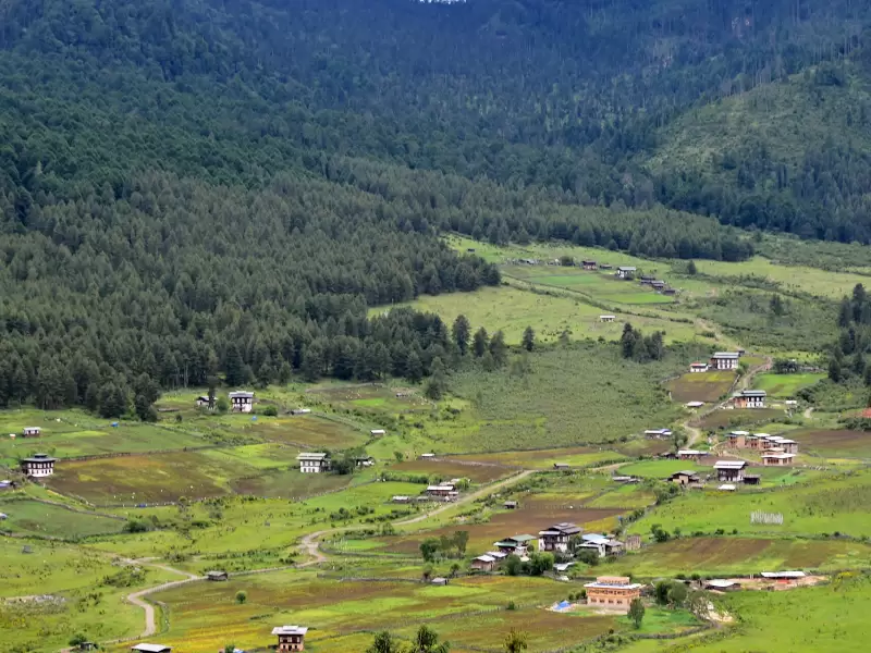 Farmhouses and fields on the floor of the Phobjikha valley