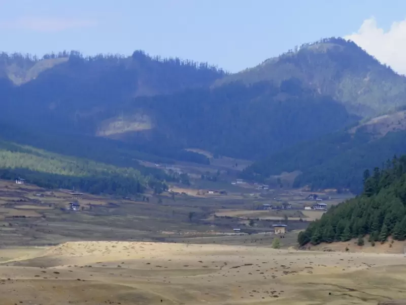 The wide floor of the Phobjikha valley, with forested hills on either side