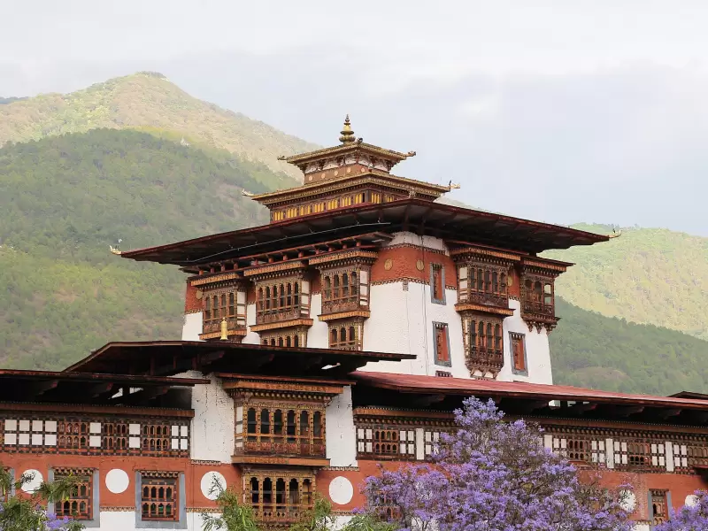 The central tower of Punakha Dzong, with jacaranda in flower below it