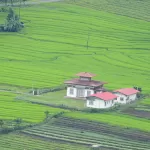 Pemaling Lhakhang among bright green terraced fields in Samtse