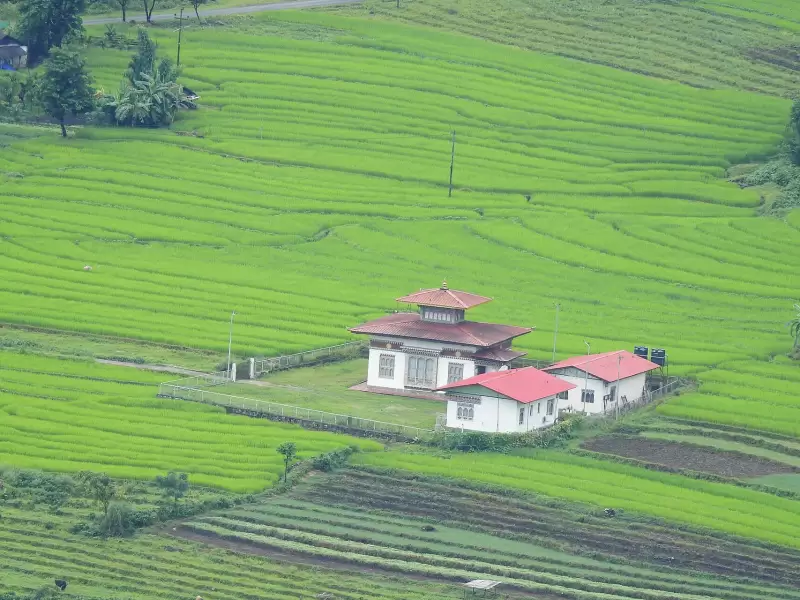 Pemaling Lhakhang among bright green terraced fields in Samtse
