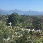 Trees and the foothills seen from Gelephu, in Sarpang