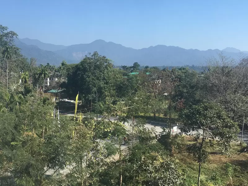Trees and the foothills seen from Gelephu, in Sarpang