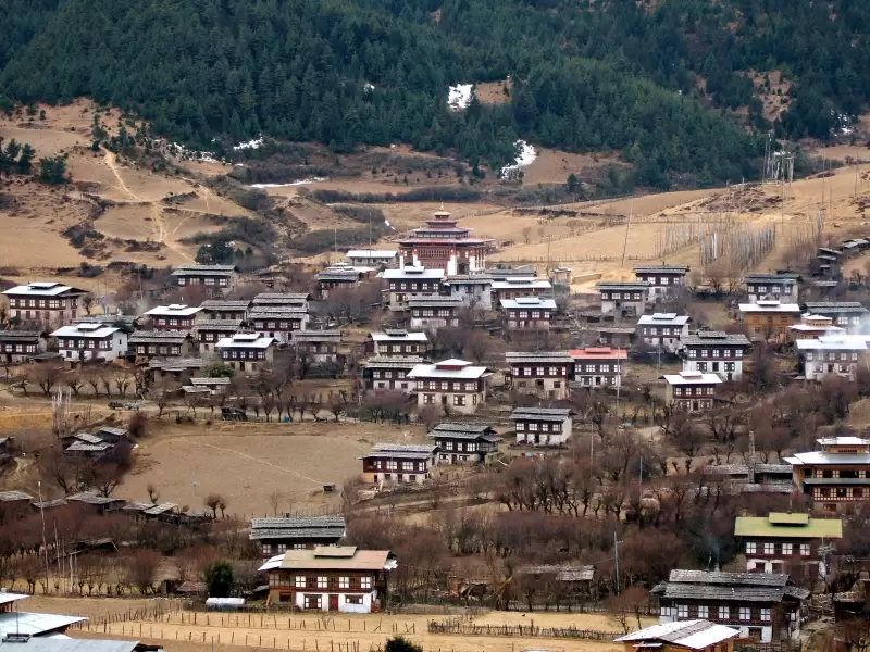 The closely packed houses of Ura village in Bumthang, with its temple above them